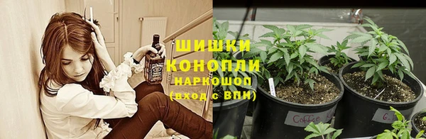 молекула духа Балахна