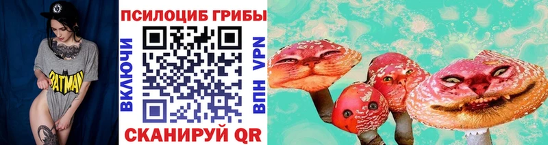 Псилоцибиновые грибы Psilocybe Белоусово